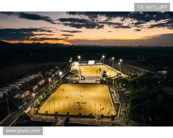 以体育赛事为引擎推动城市能级提升与综合发展新路径探索实践研究